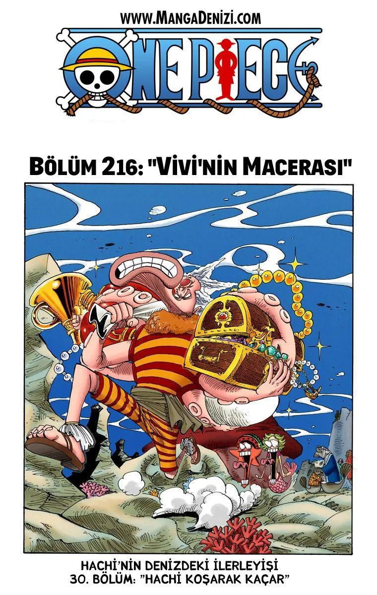 One Piece [Renkli] - Sayfa 2