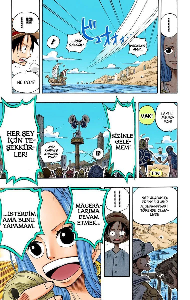 One Piece [Renkli] - Sayfa 14