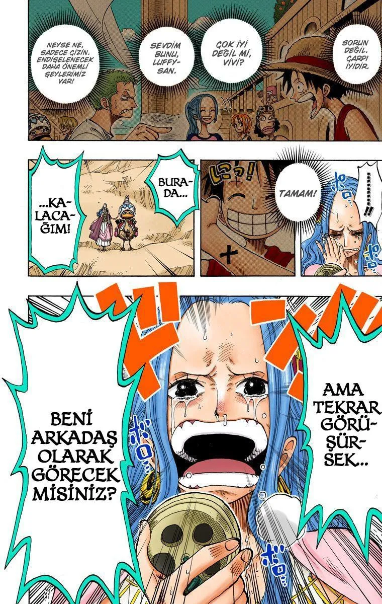 One Piece [Renkli] - Sayfa 16