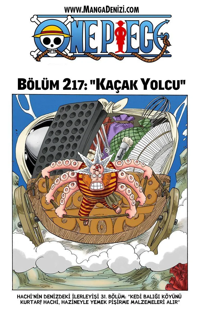 One Piece [Renkli] - Sayfa 2