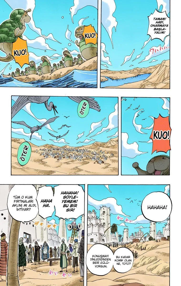 One Piece [Renkli] - Sayfa 6