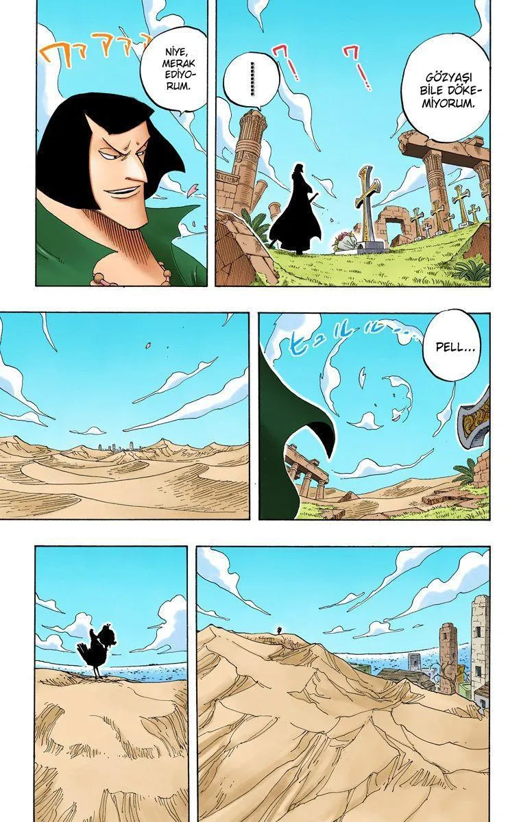One Piece [Renkli] - Sayfa 10