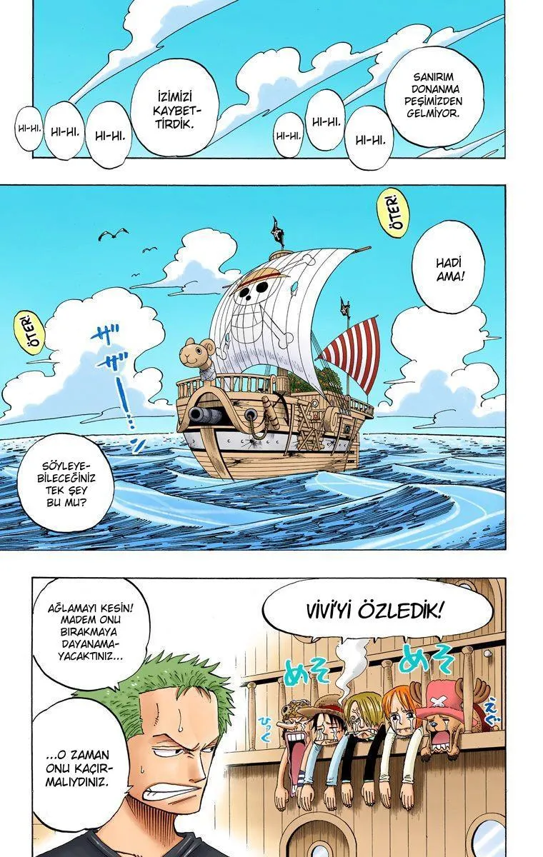 One Piece [Renkli] - Sayfa 16
