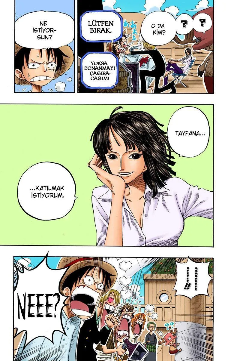 One Piece [Renkli] - Sayfa 20