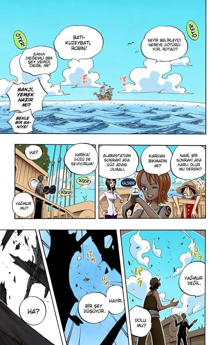 One Piece [Renkli] - Sayfa 14