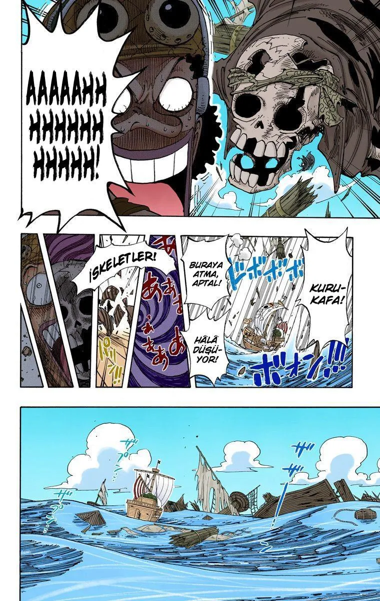 One Piece [Renkli] - Sayfa 18