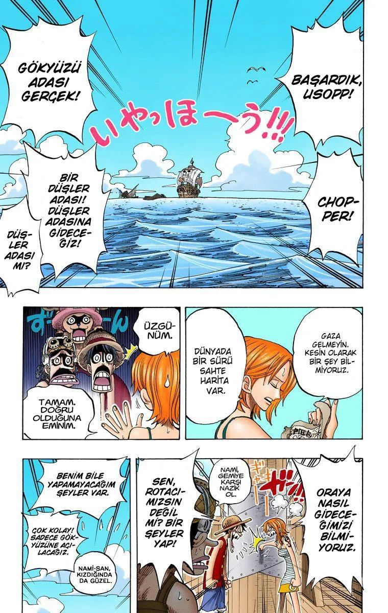 One Piece [Renkli] - Sayfa 10