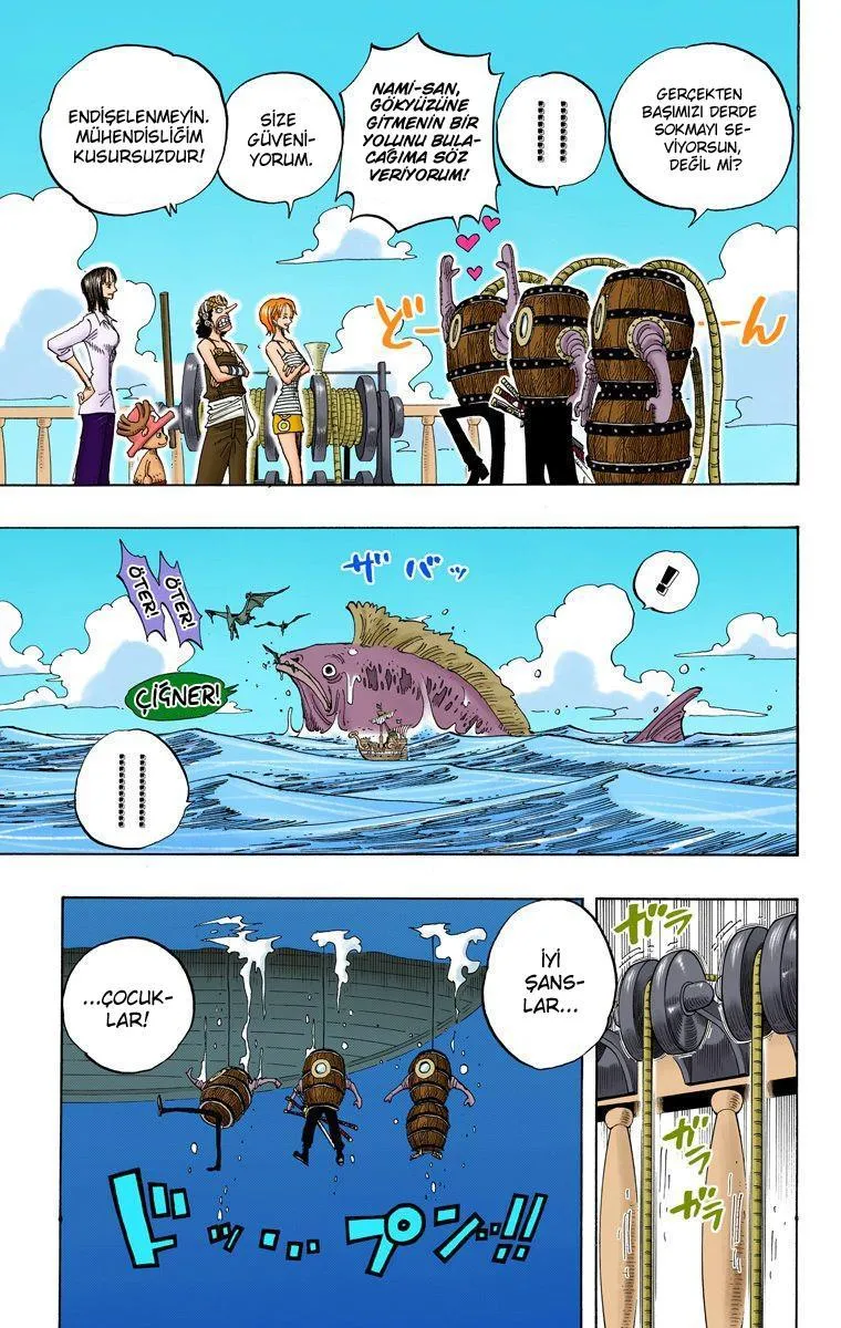 One Piece [Renkli] - Sayfa 12