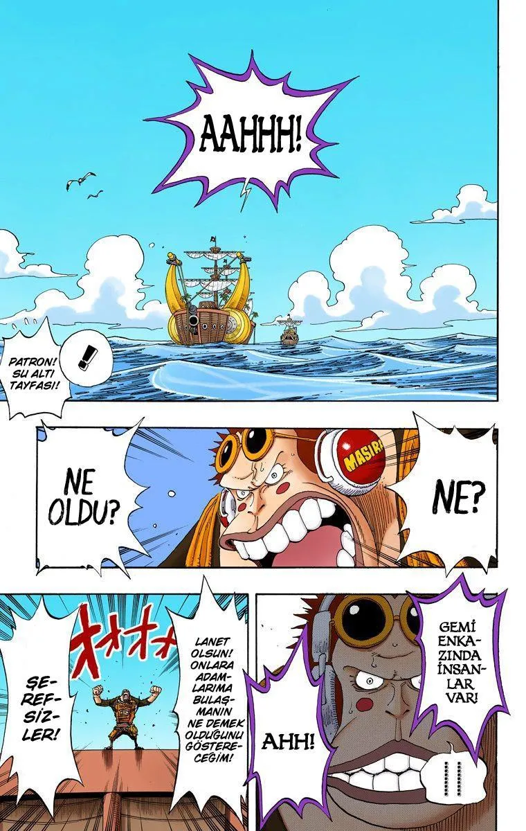 One Piece [Renkli] - Sayfa 14