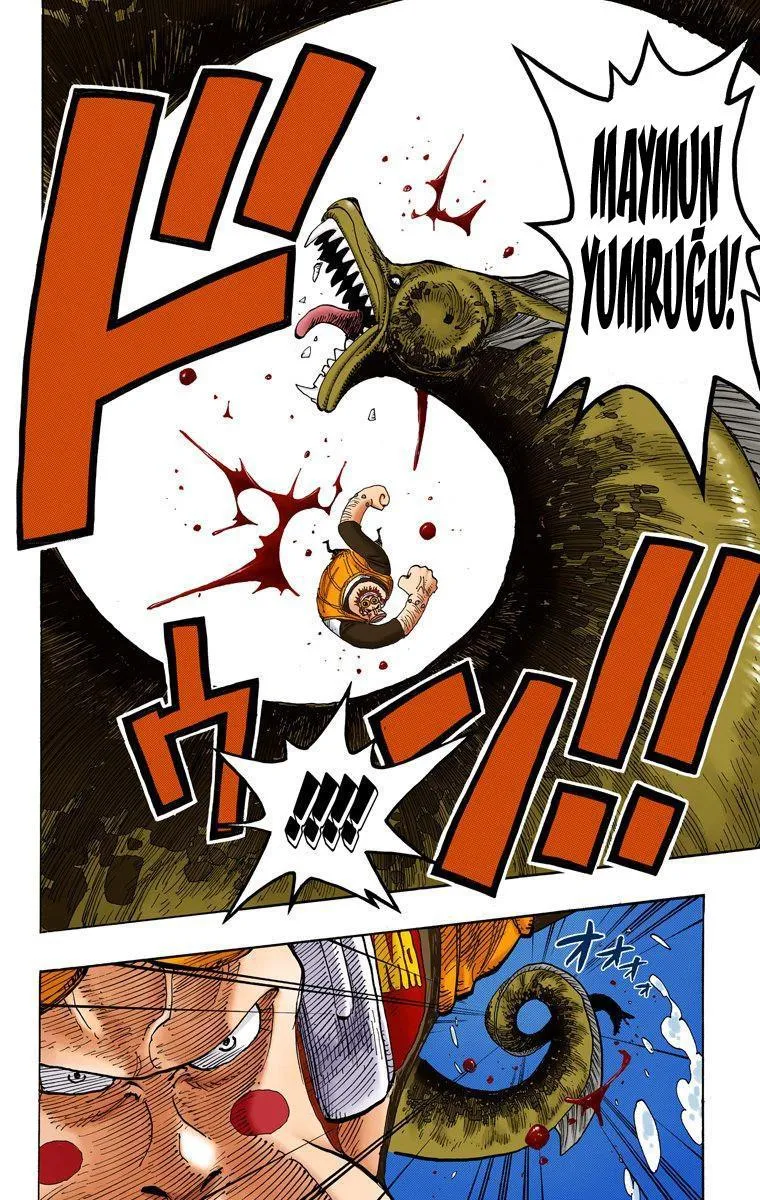 One Piece [Renkli] - Sayfa 17