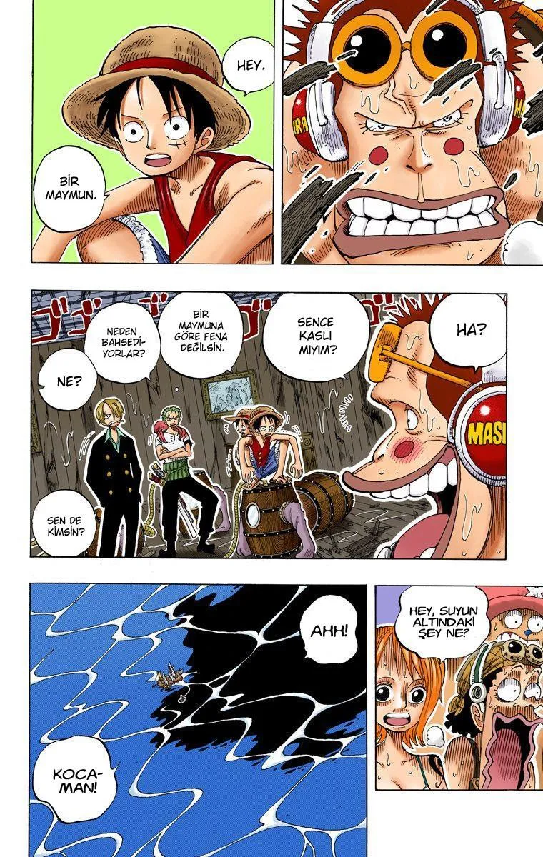 One Piece [Renkli] - Sayfa 19