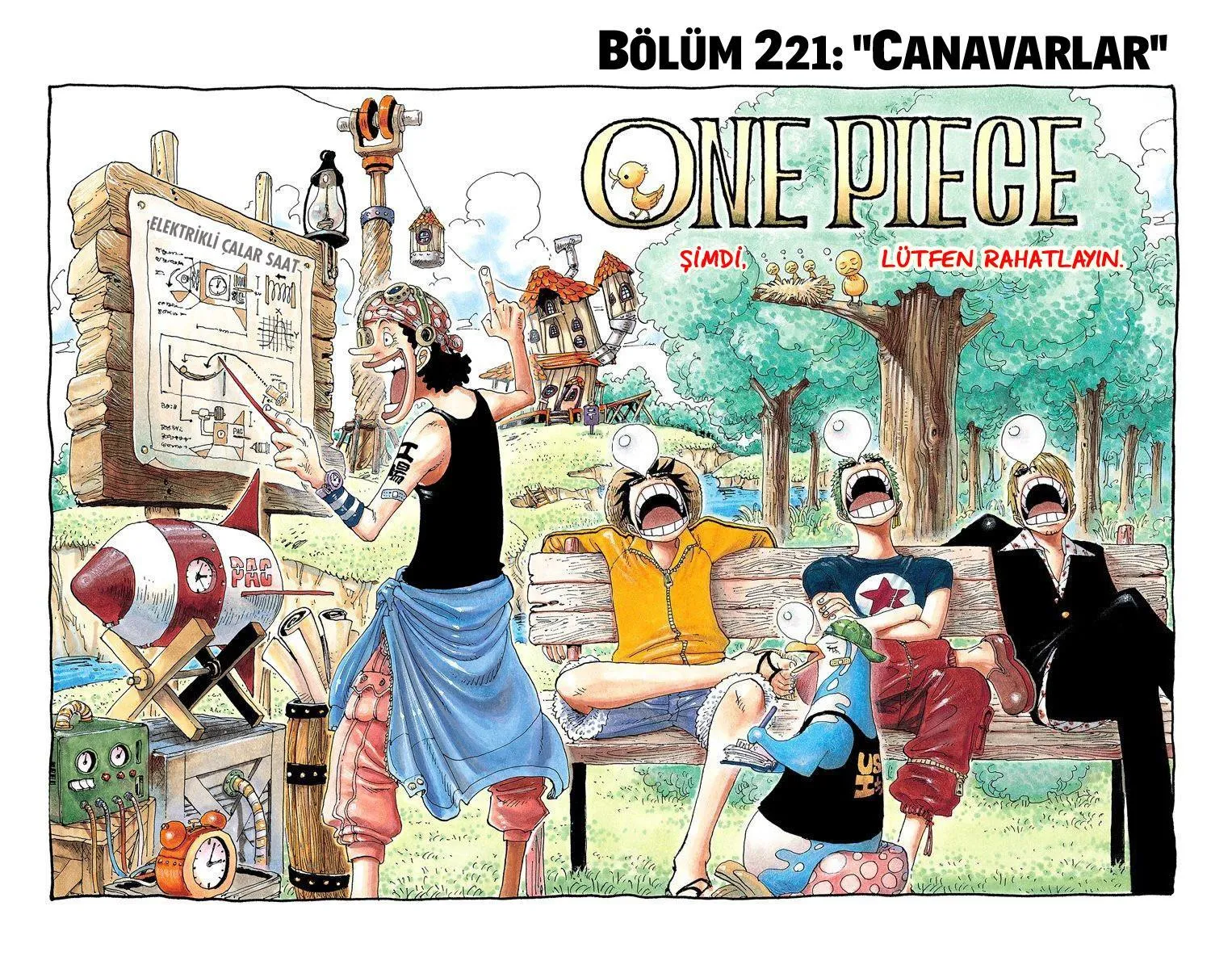 One Piece [Renkli] - Sayfa 2