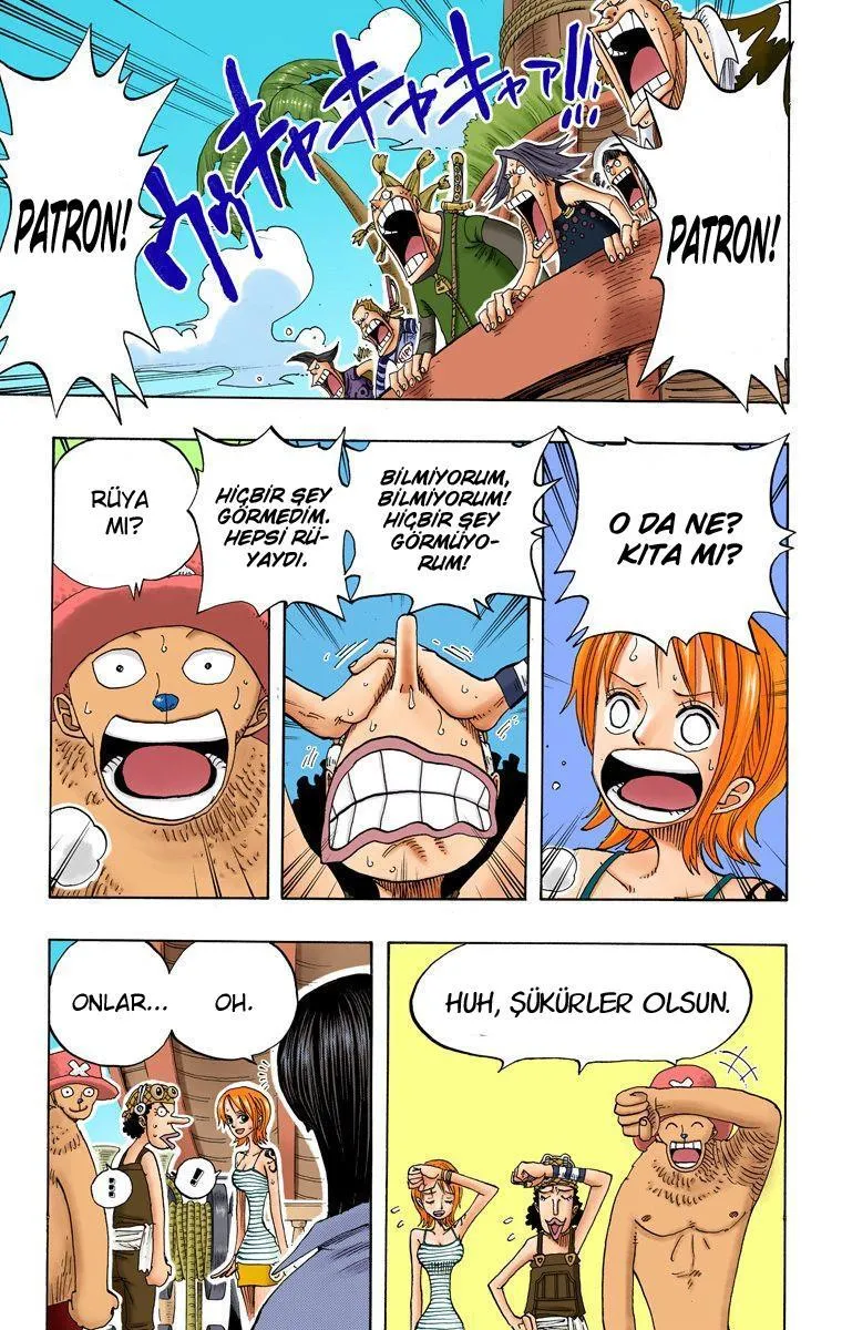 One Piece [Renkli] - Sayfa 3