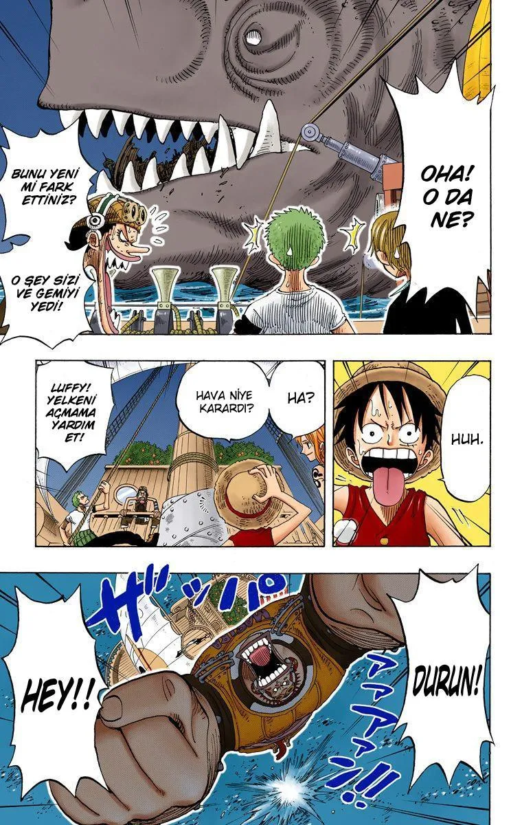 One Piece [Renkli] - Sayfa 10