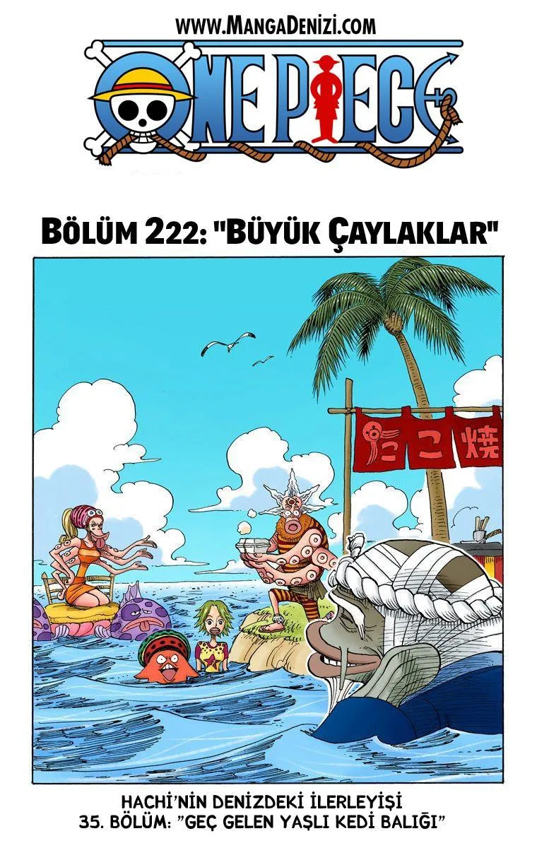 One Piece [Renkli] - Sayfa 2