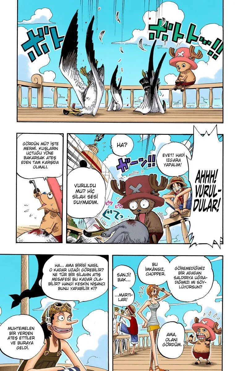 One Piece [Renkli] - Sayfa 10