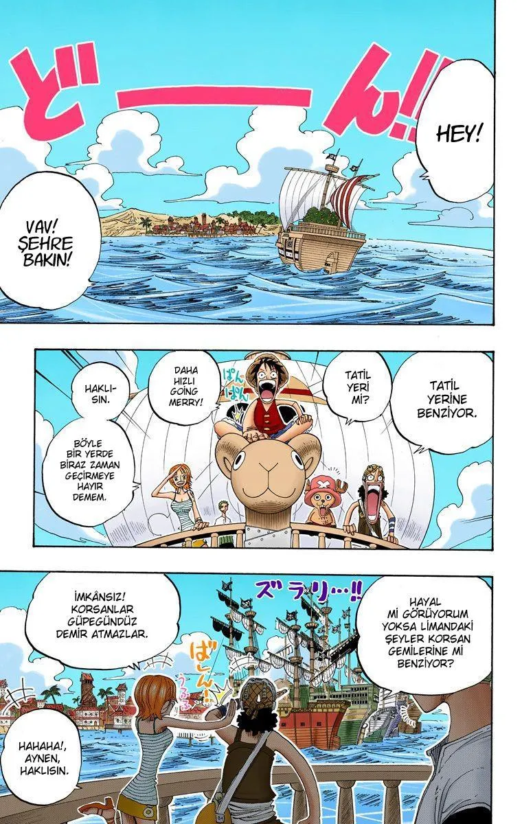 One Piece [Renkli] - Sayfa 12