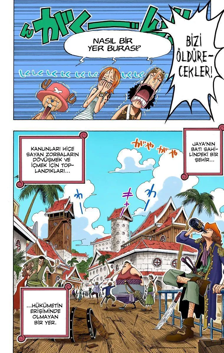 One Piece [Renkli] - Sayfa 13