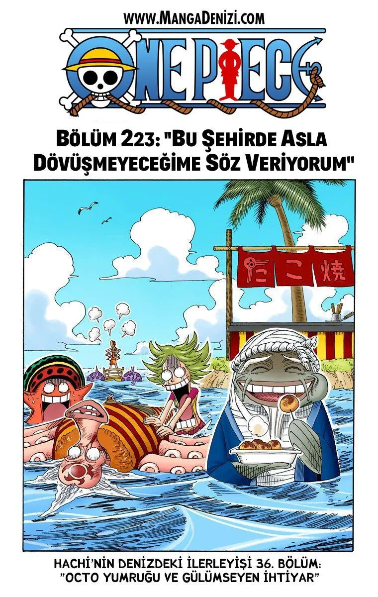 One Piece [Renkli] - Sayfa 2