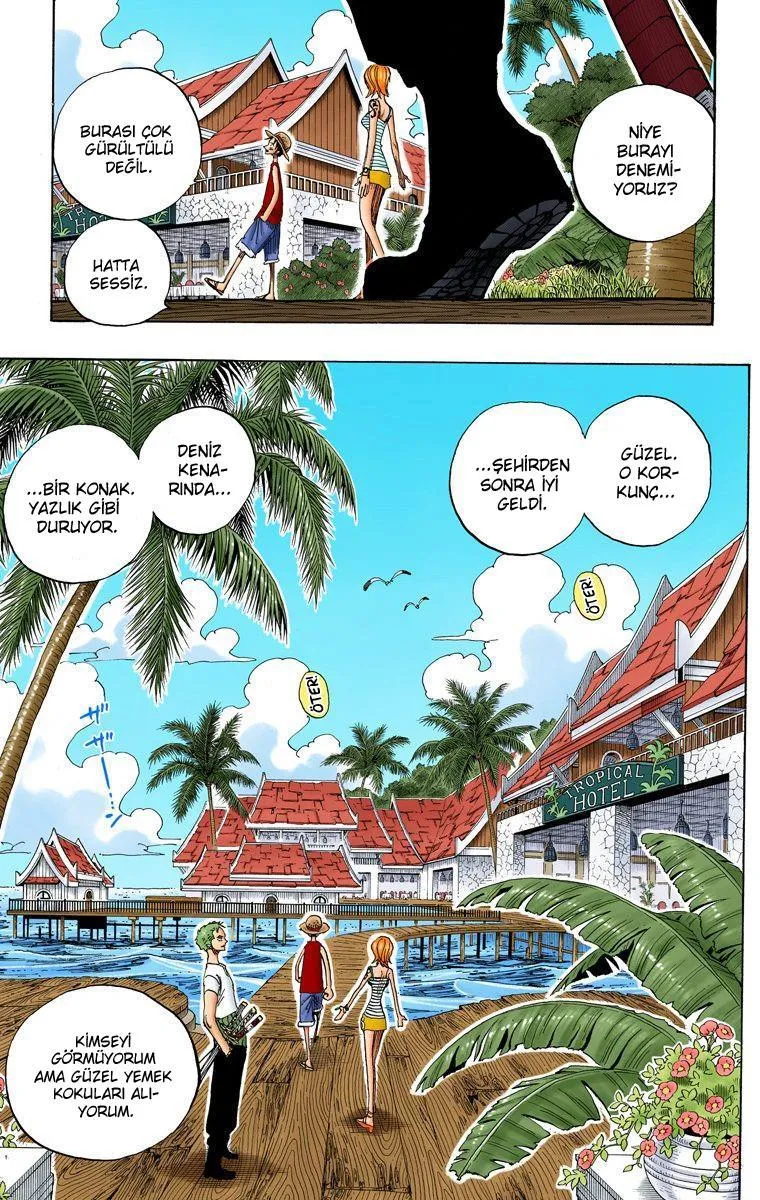 One Piece [Renkli] - Sayfa 10