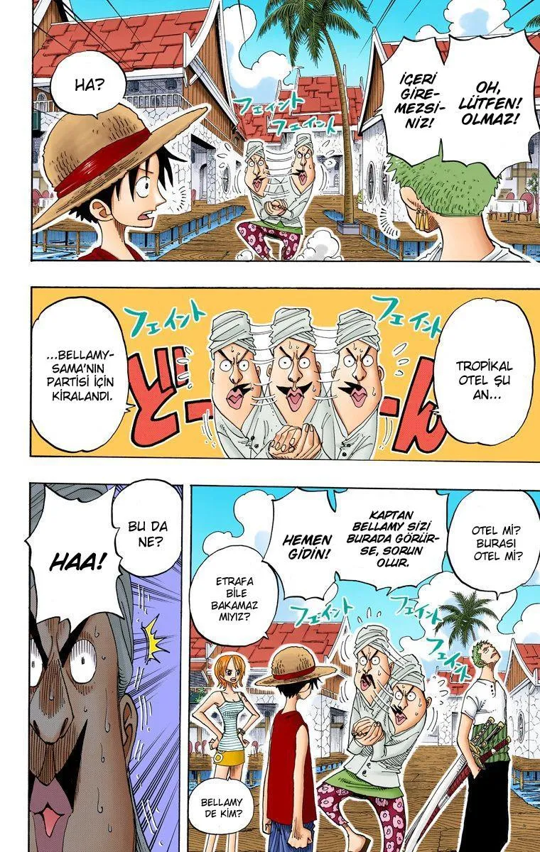 One Piece [Renkli] - Sayfa 11
