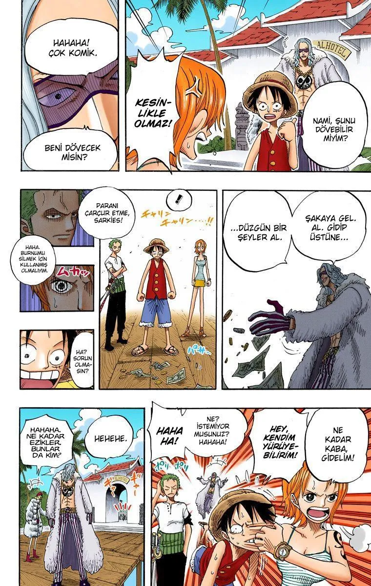 One Piece [Renkli] - Sayfa 13