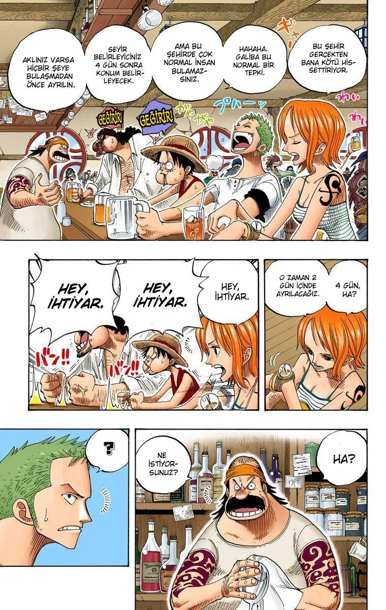 One Piece [Renkli] - Sayfa 16