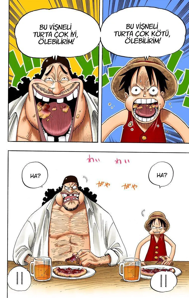 One Piece [Renkli] - Sayfa 17