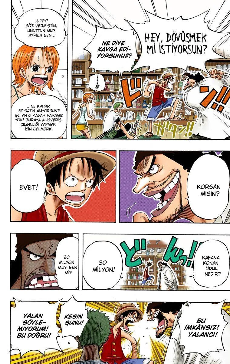 One Piece [Renkli] - Sayfa 19