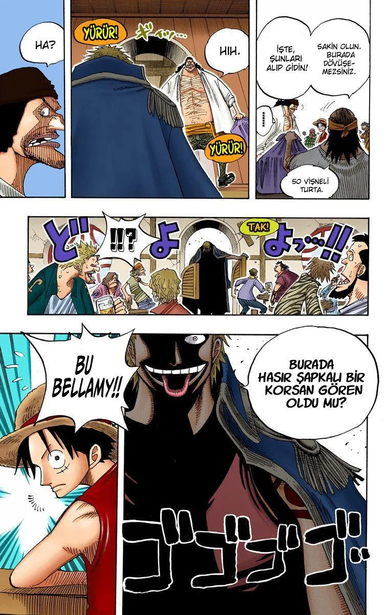 One Piece [Renkli] - Sayfa 20