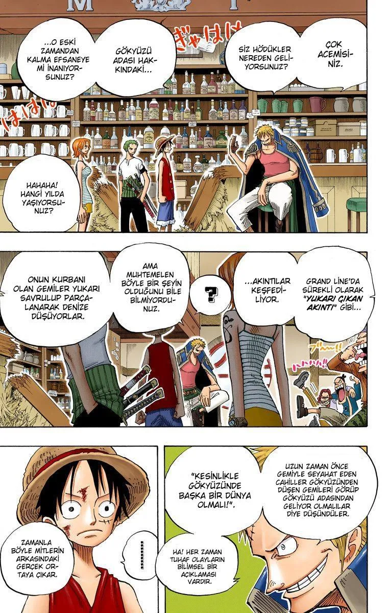 One Piece [Renkli] - Sayfa 15