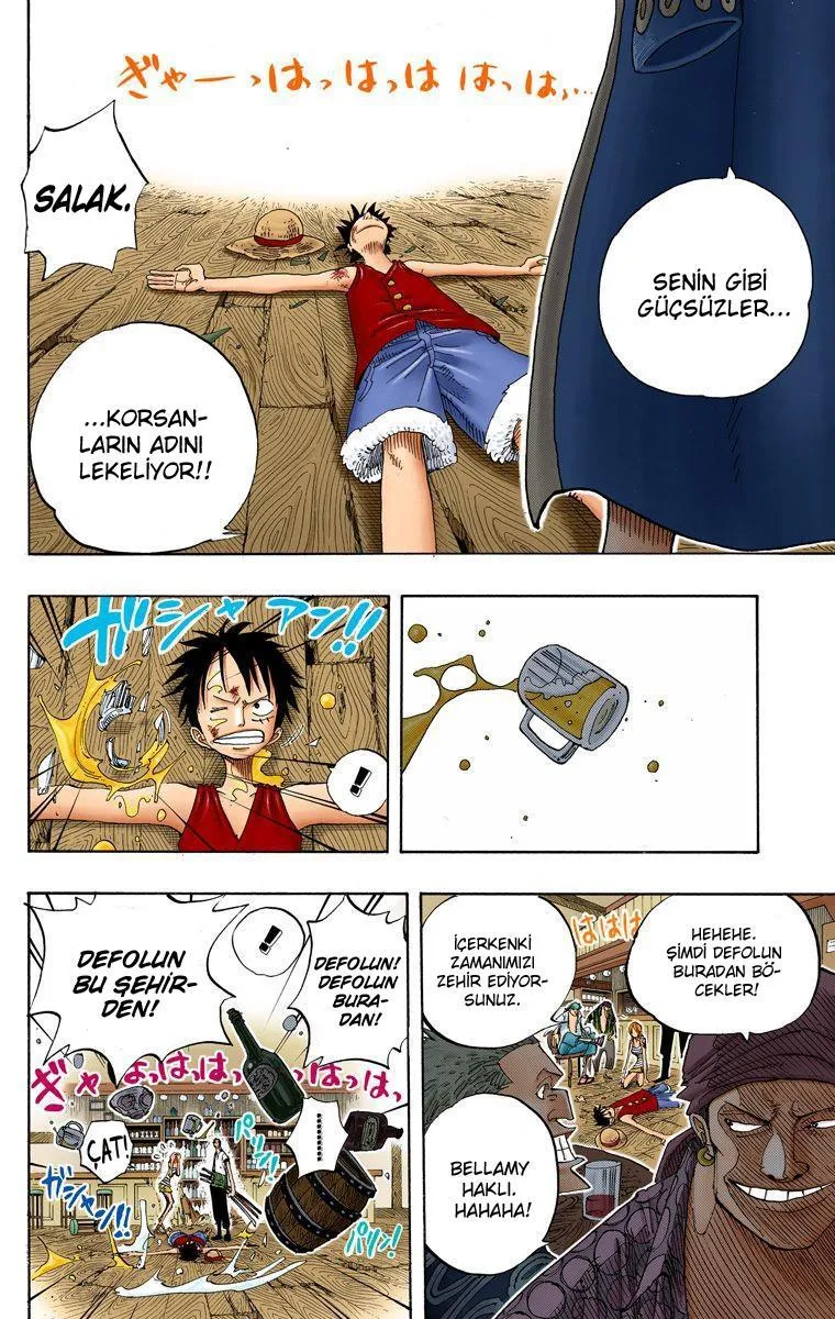 One Piece [Renkli] - Sayfa 18