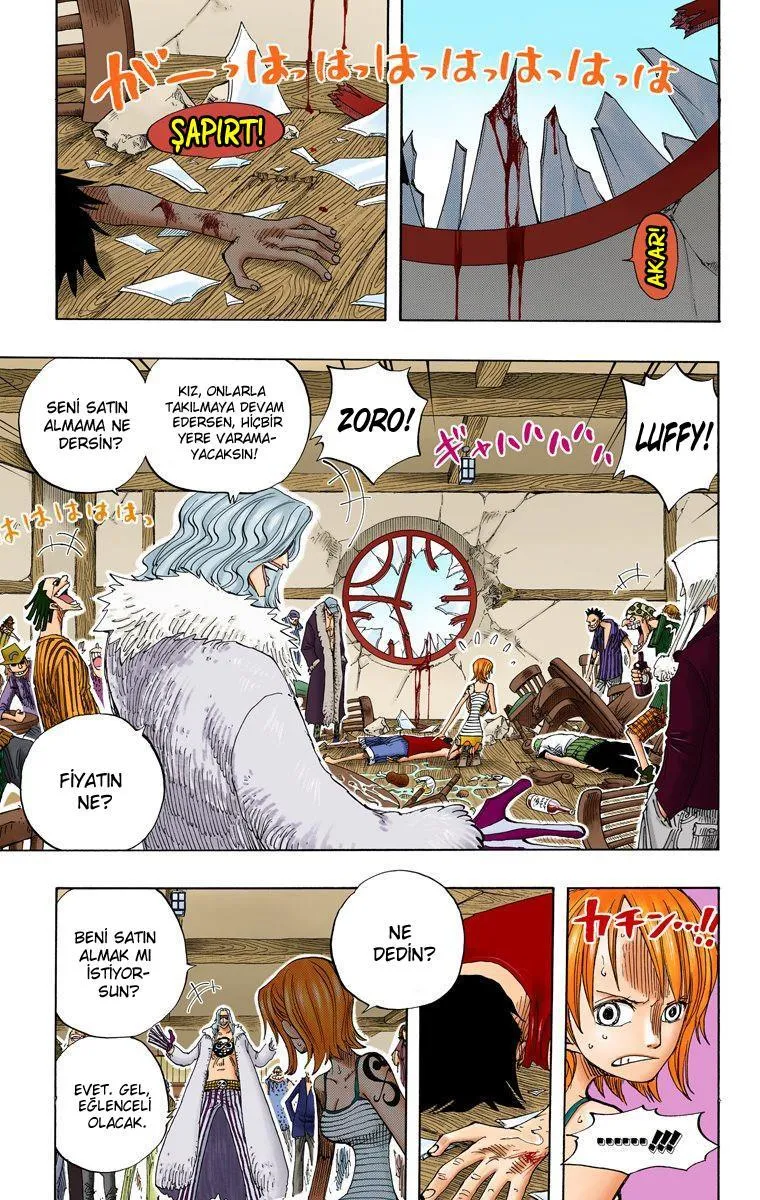 One Piece [Renkli] - Sayfa 8