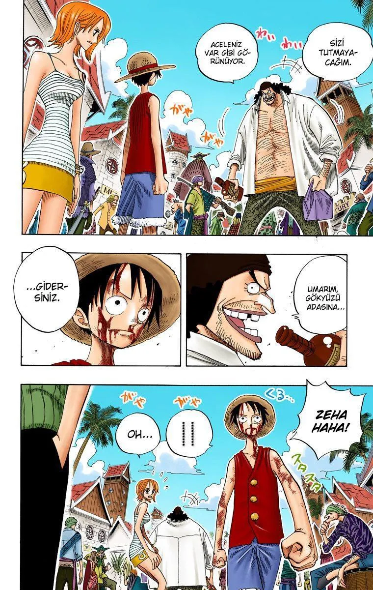 One Piece [Renkli] - Sayfa 16