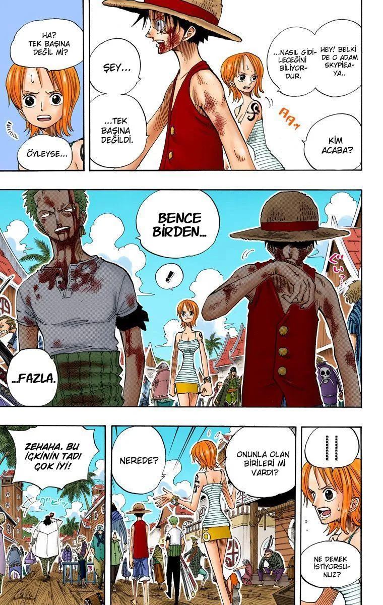 One Piece [Renkli] - Sayfa 17