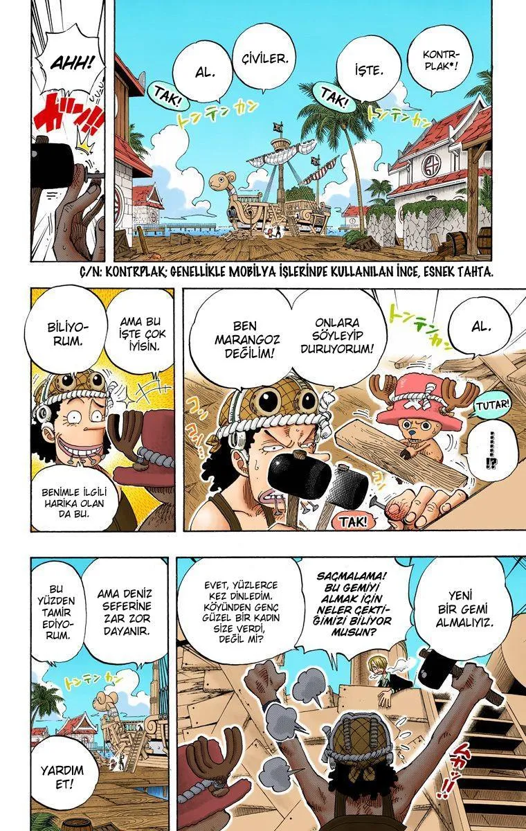 One Piece [Renkli] - Sayfa 18