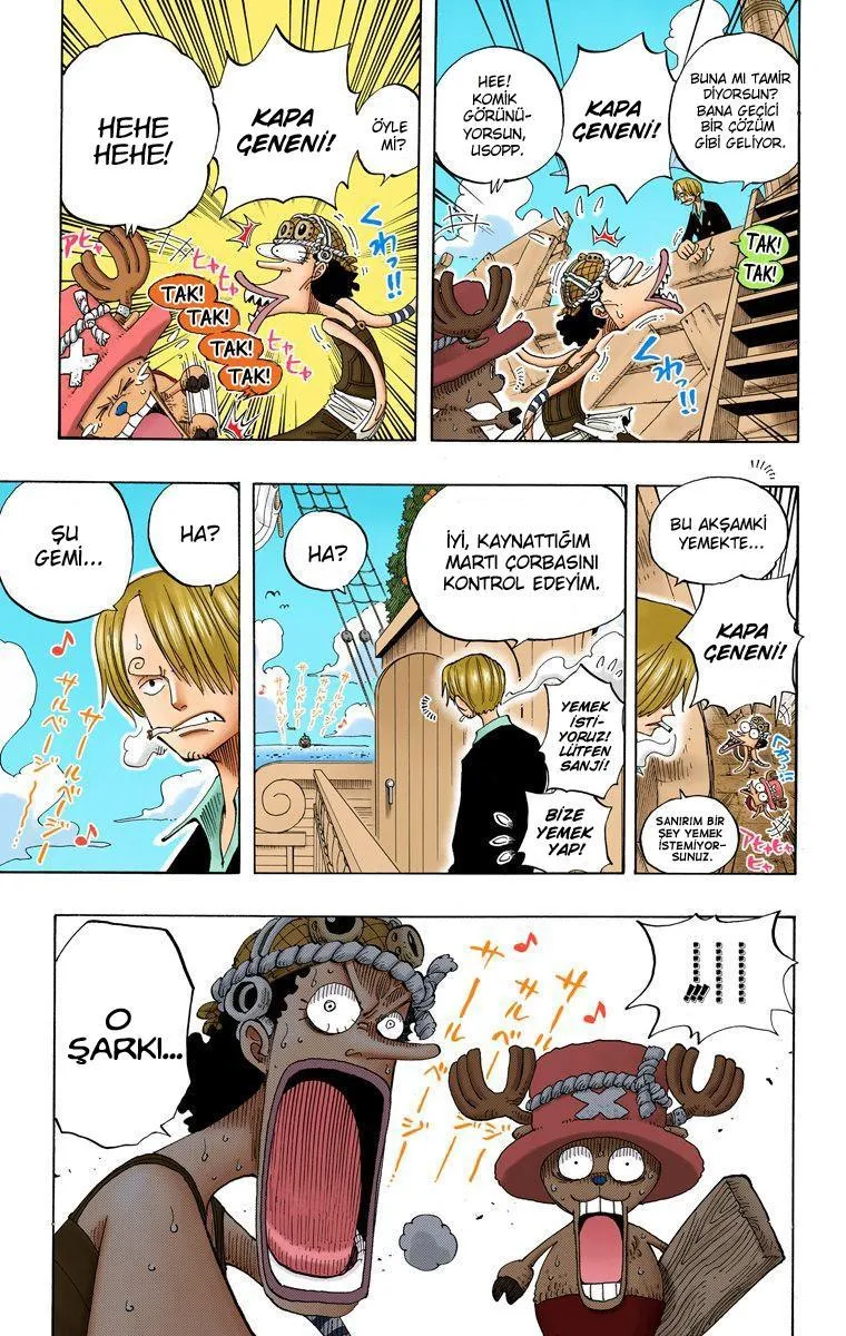 One Piece [Renkli] - Sayfa 19