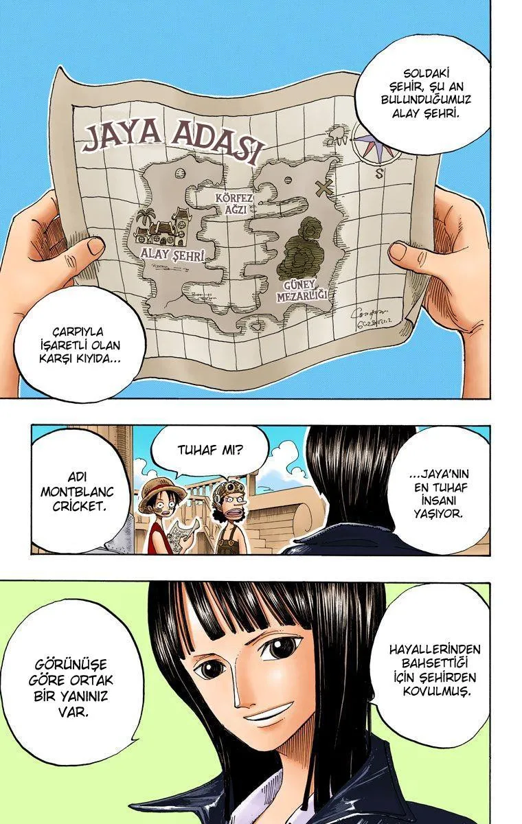 One Piece [Renkli] - Sayfa 7