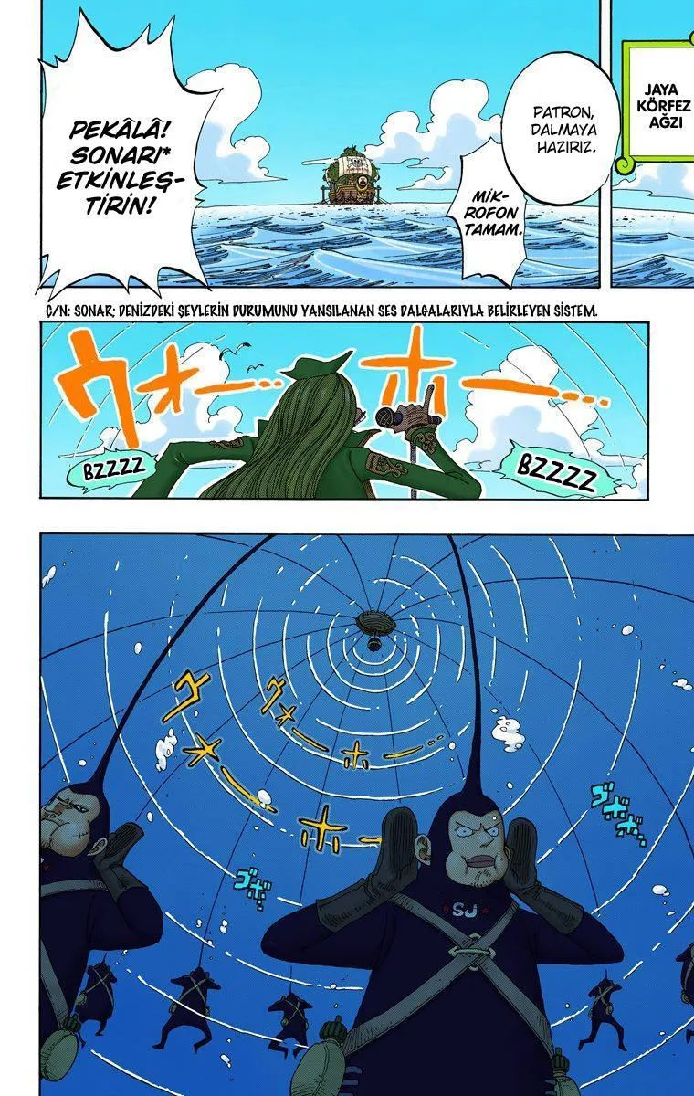 One Piece [Renkli] - Sayfa 8