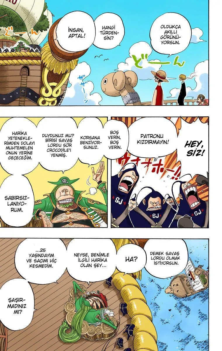 One Piece [Renkli] - Sayfa 13