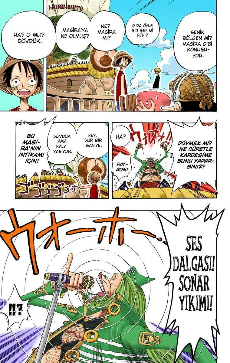 One Piece [Renkli] - Sayfa 15