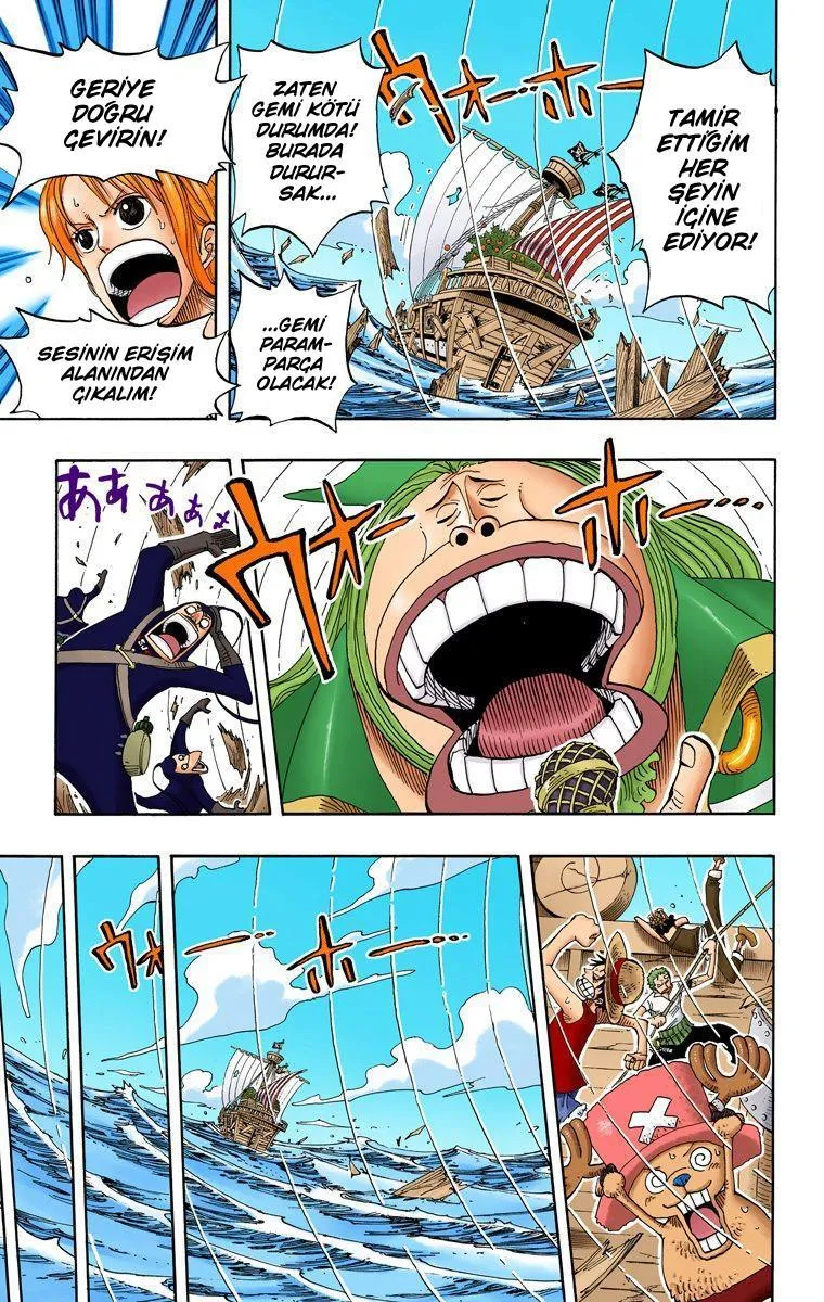 One Piece [Renkli] - Sayfa 17