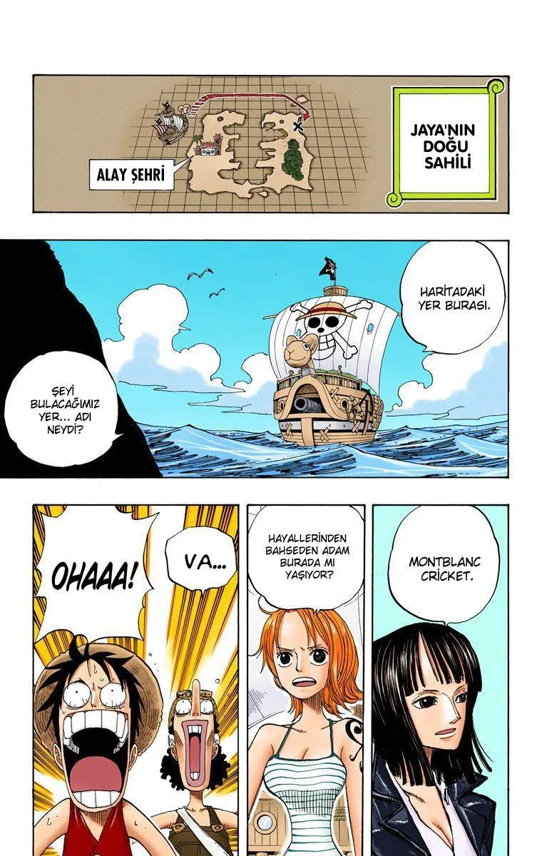 One Piece [Renkli] - Sayfa 4