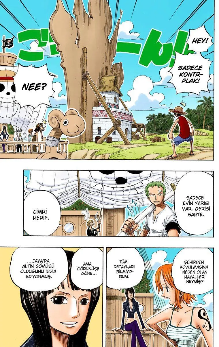 One Piece [Renkli] - Sayfa 6