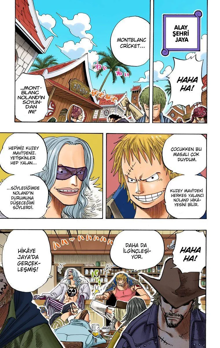 One Piece [Renkli] - Sayfa 12