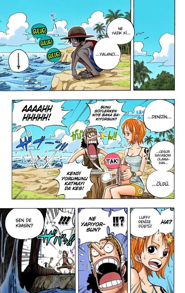 One Piece [Renkli] - Sayfa 14