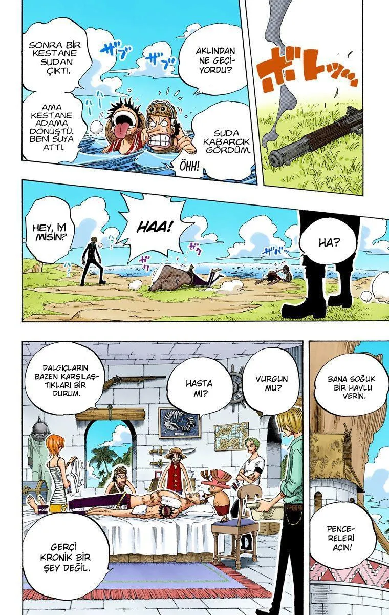 One Piece [Renkli] - Sayfa 19