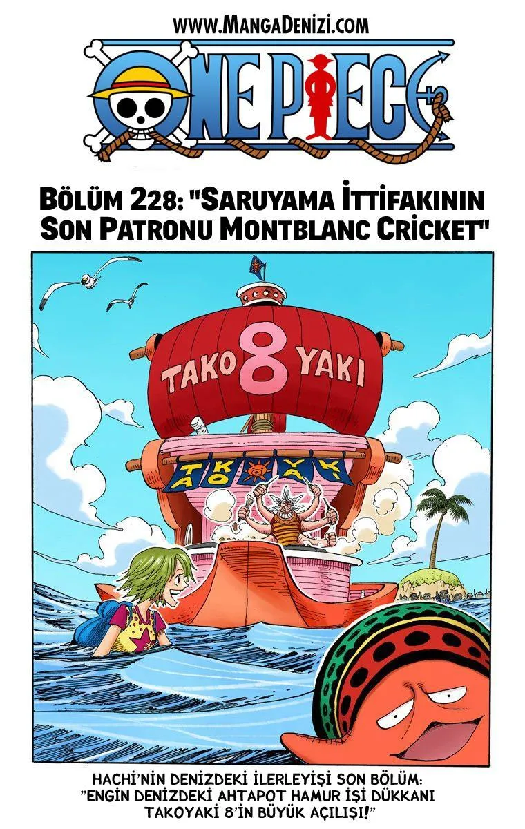 One Piece [Renkli] - Sayfa 2