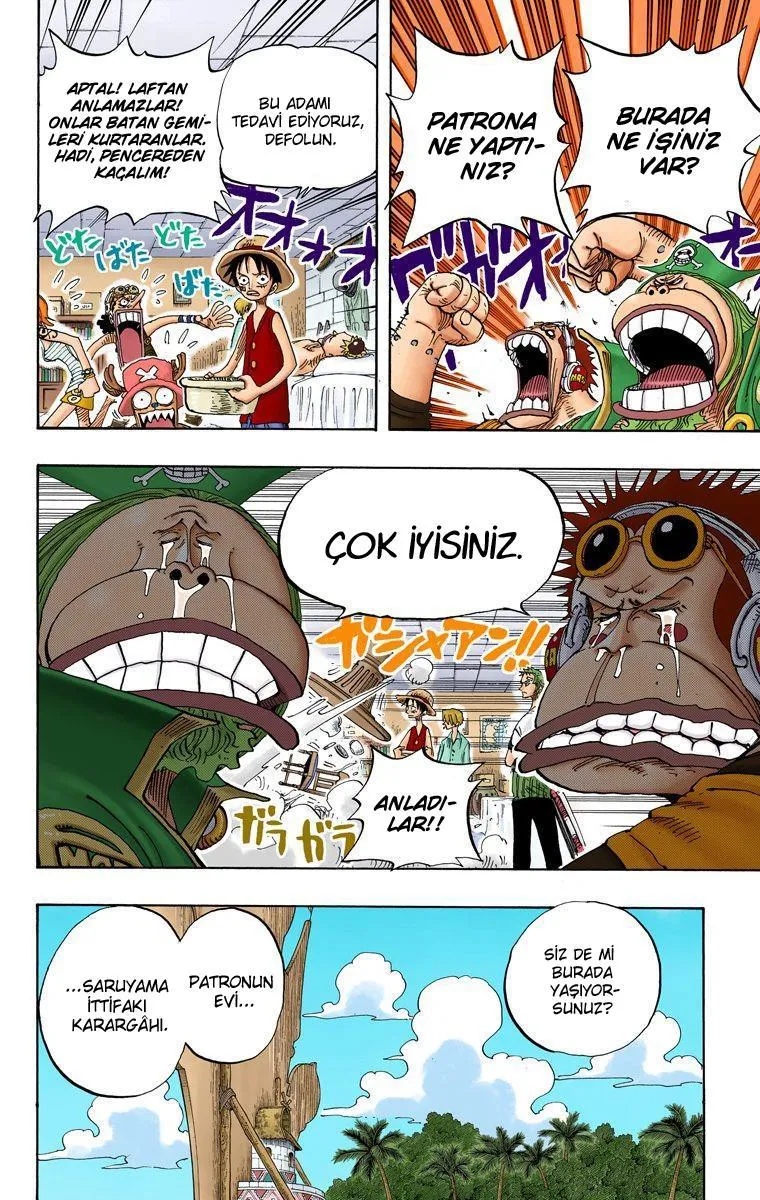 One Piece [Renkli] - Sayfa 5