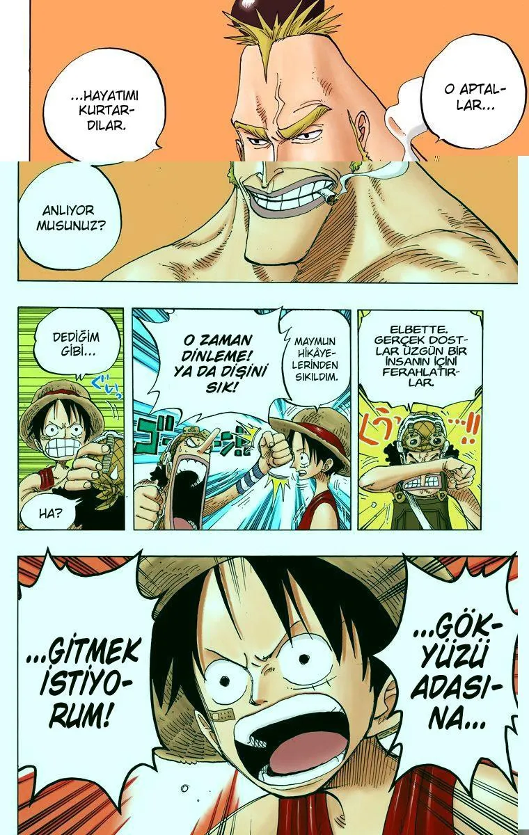 One Piece [Renkli] - Sayfa 17